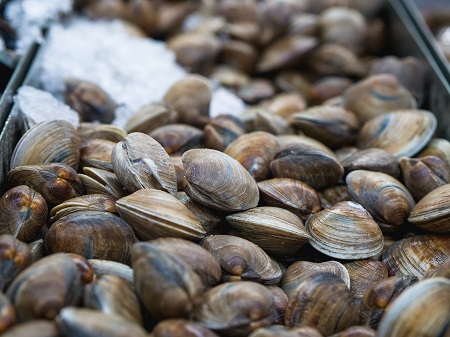 Clams on ice